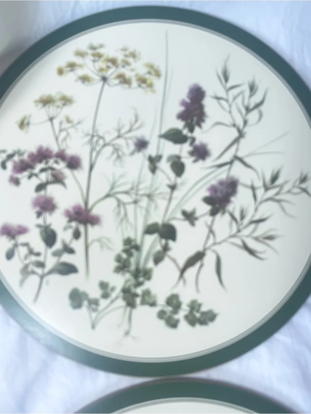 Vintage Cottagecore English Life Botanical Wildflower Placemats Set of 6